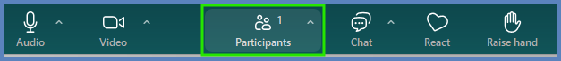 To admit someone from the Waiting Room into the meeting, select the Participants button from the bottom of the window.