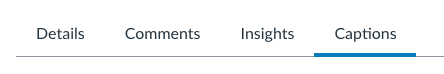 A menu displaying four options: Details, Comments, Insights, and Captions. 