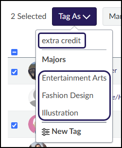In this example, there is a Differentiation Tag called "extra credit". There are also three separate Differentiation Tags called "Entertainment Arts", "Fashion Design", and "Illustration", all grouped under the Tag Set called "Majors".