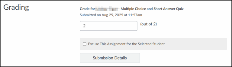 In the Grading section of the Individual Gradebook view, the name of the student and the assignment name are displayed.