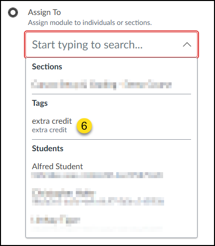 In the "Assign To" drop-down list, click on the Differentiation Tag that you created via the "People" page of your course.