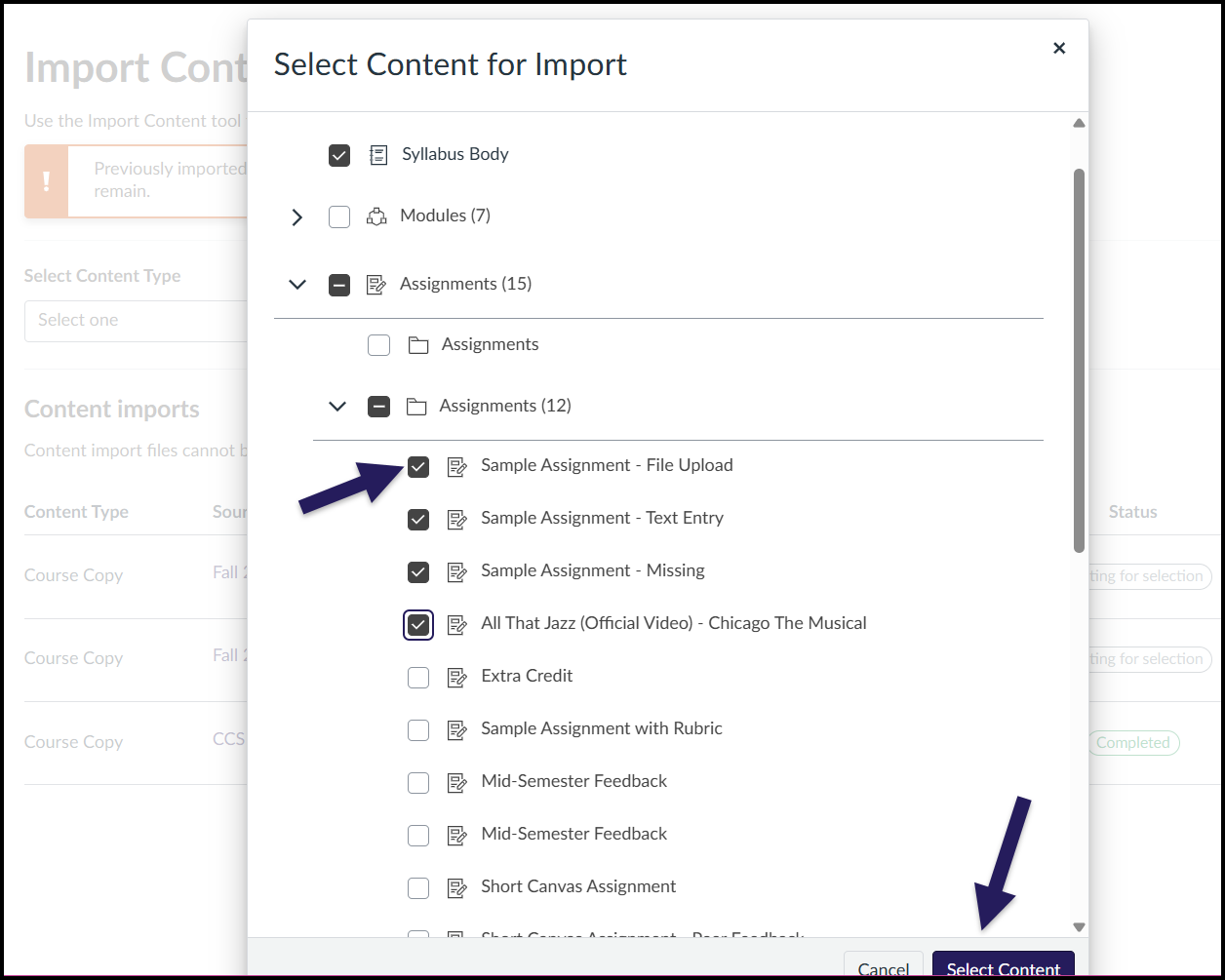 Content selected for a Canvas import