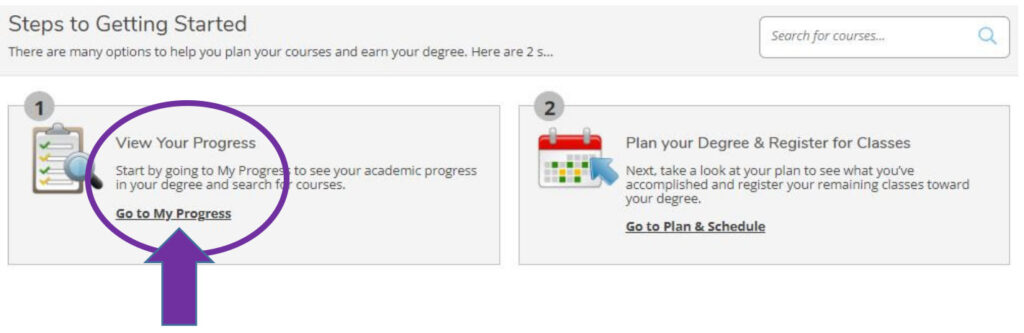 On the Self Service Student Planning "Steps to Getting Started" page, choose the "#1 View Your Progress" option.