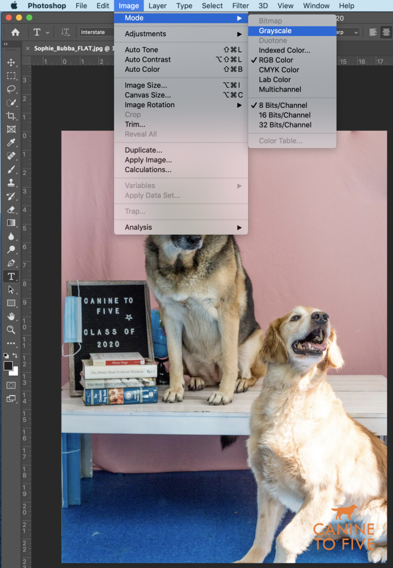 3-ways-to-make-an-image-black-and-white-in-indesign