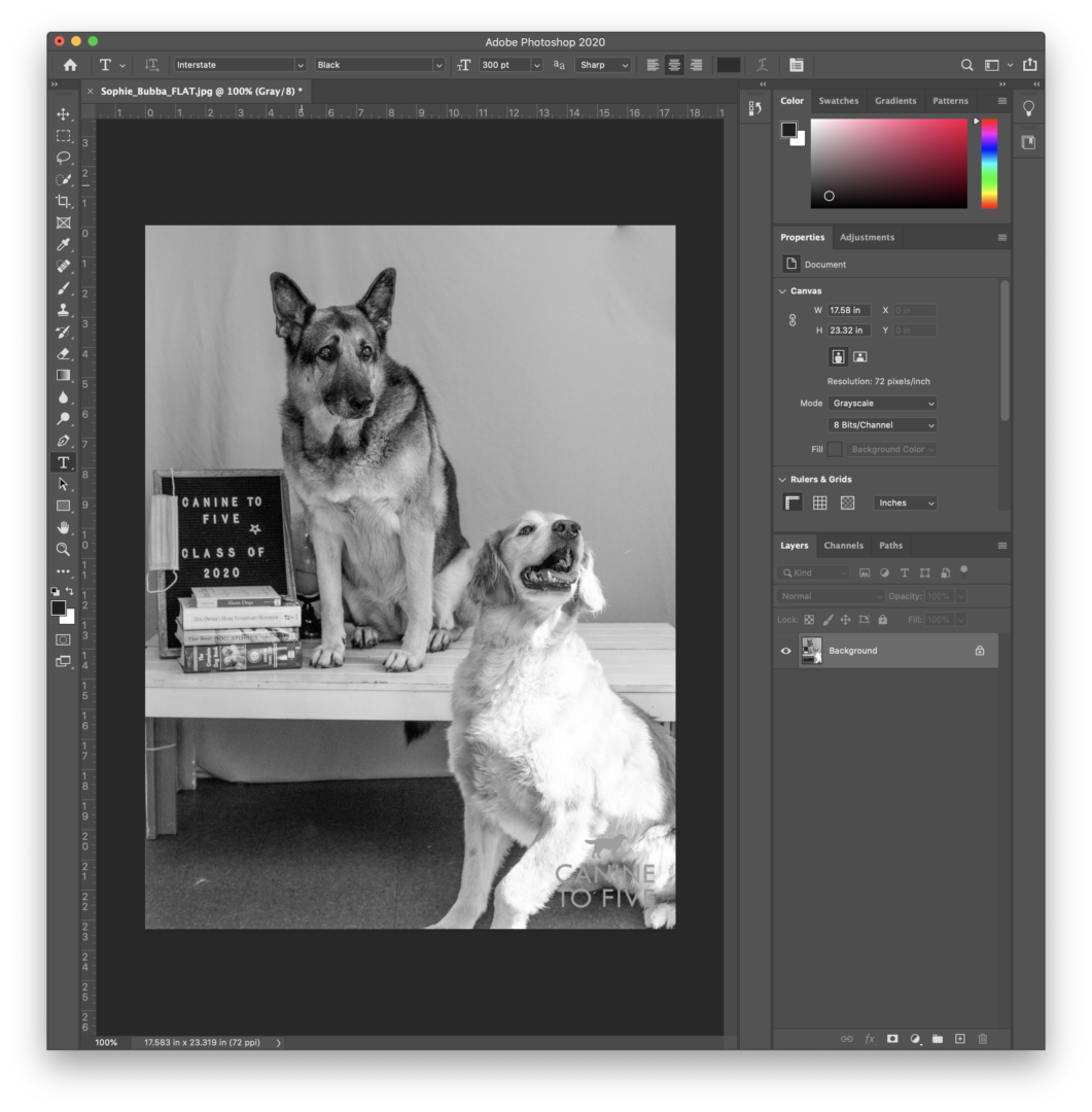 Convert Color to Grayscale in Photoshop – Imaging Center